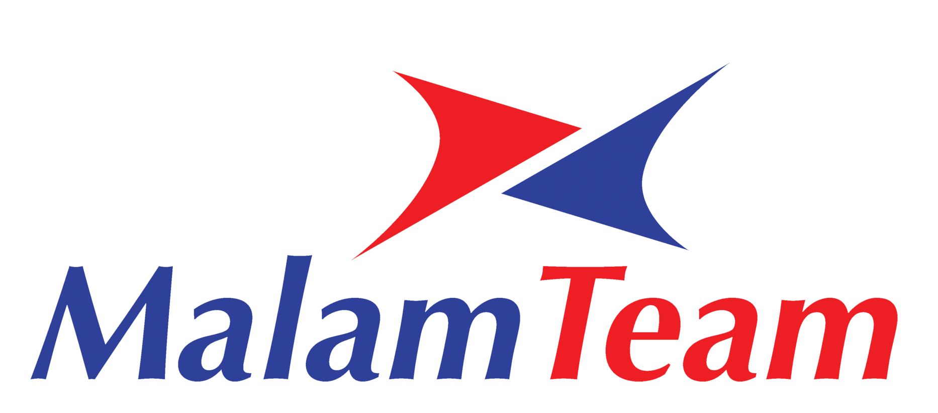 Malam Team logo